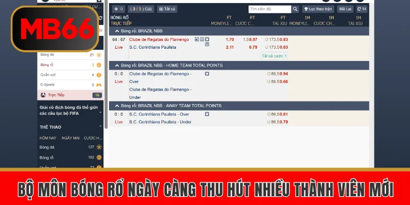 Bộ môn điện tử Esport có lượng afn hâm mộ đông đảo