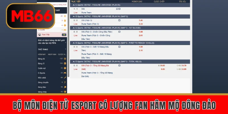 Bộ môn bóng rổ ngày càng thu hút nhiều thành viên mới