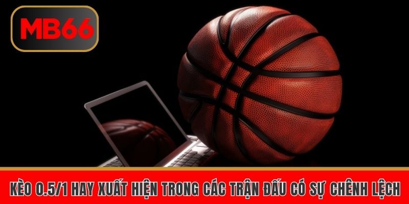 Cá cược bóng rổ
