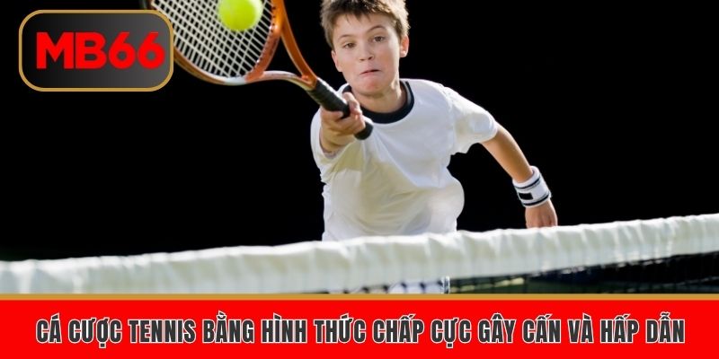 Cá cược tennis bằng hình thức chấp cực gây cấn và hấp dẫn