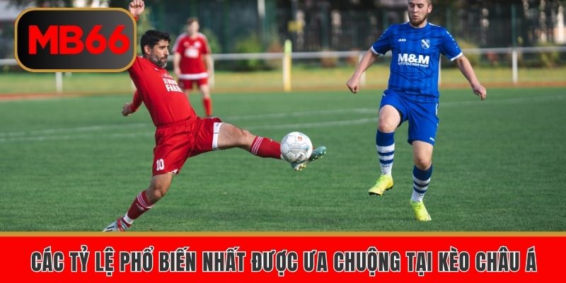 Các tỷ lệ phổ biến nhất được ưa chuộng tại kèo châu Á