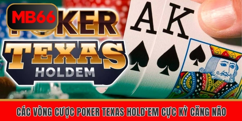 Các vòng cược Poker Texas Hold’em cực kỳ căng não