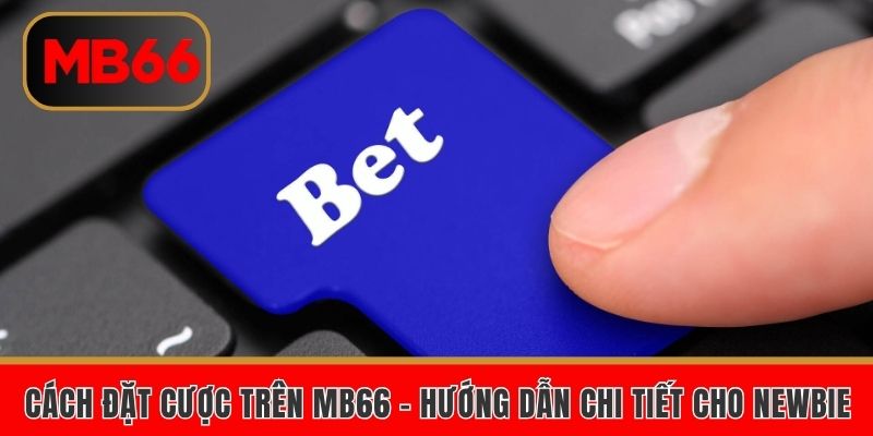 Cách đặt cược trên MB66