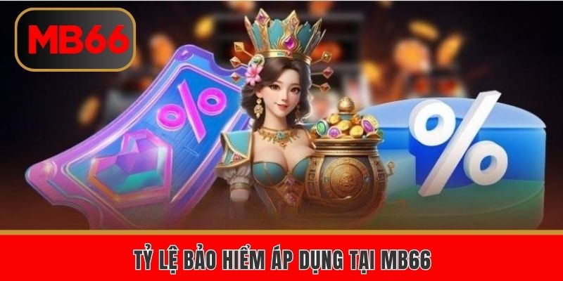 Cập nhật nội dung bảo hiểm cược MB66