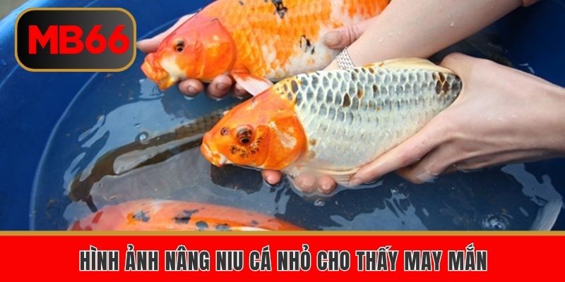Hình ảnh nâng niu cá nhỏ cho thấy may mắn