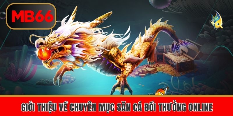 Giới thiệu về chuyên mục săn cá đổi thưởng online