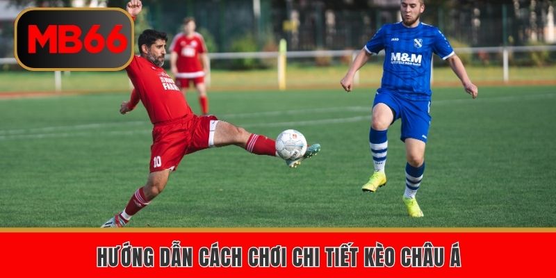 Giới thiệu khái quát kèo châu Á tới hội viên