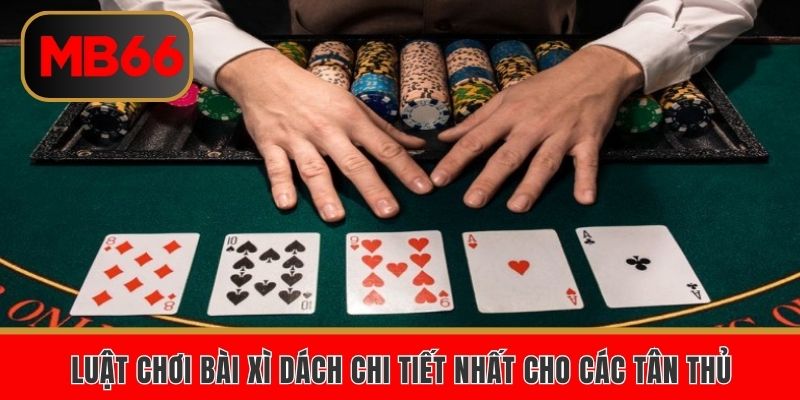 Luật chơi bài xì dách chi tiết nhất cho các tân thủ