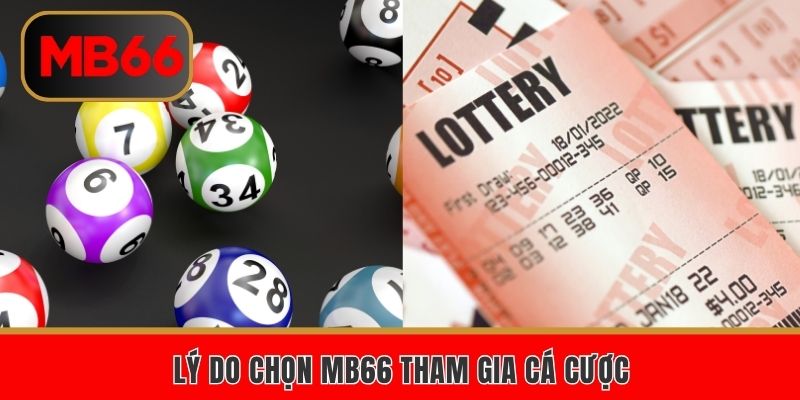 Lý do chọn MB66 tham gia cá cược