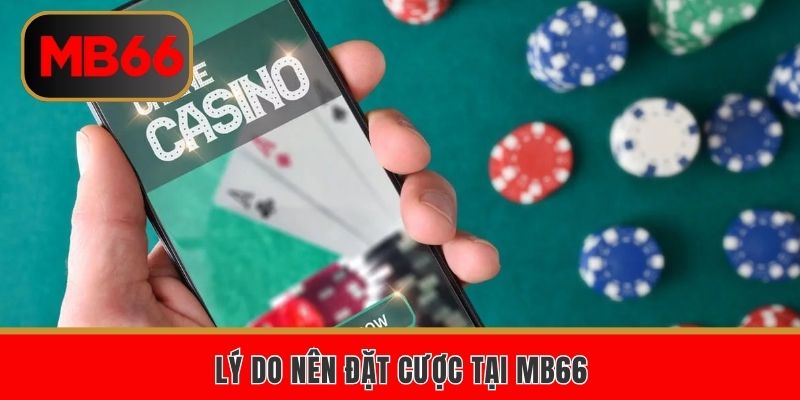 Lý do nên đặt cược tại MB66