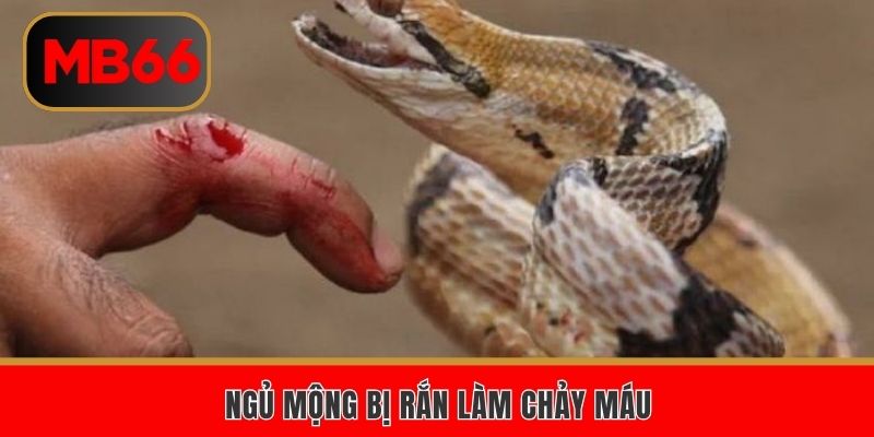 Ngủ mộng bị rắn làm chảy máu
