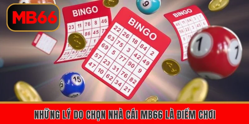 Những lý do chọn nhà cái MB66 là điểm chơi