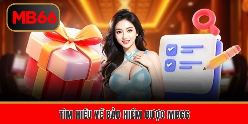Sơ lược về chính sách bảo hiểm cược MB66