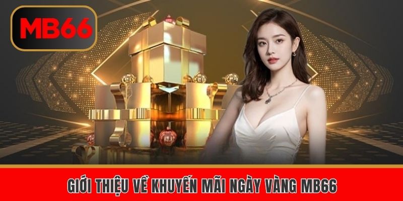 Sơ lược về khuyến mãi ngày vàng MB66