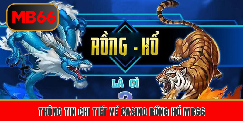 Thông tin chi tiết về Casino Rồng Hổ MB66