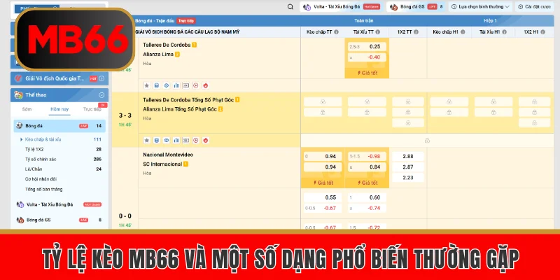 Tỷ lệ kèo MB66