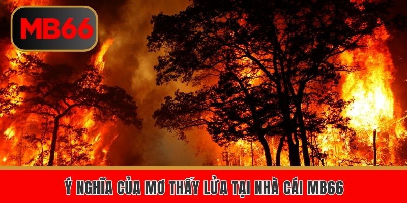 Ý nghĩa của mơ thấy lửa tại nhà cái MB66