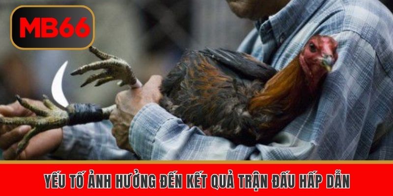 Yếu tố ảnh hưởng đến kết quả trận đấu hấp dẫn